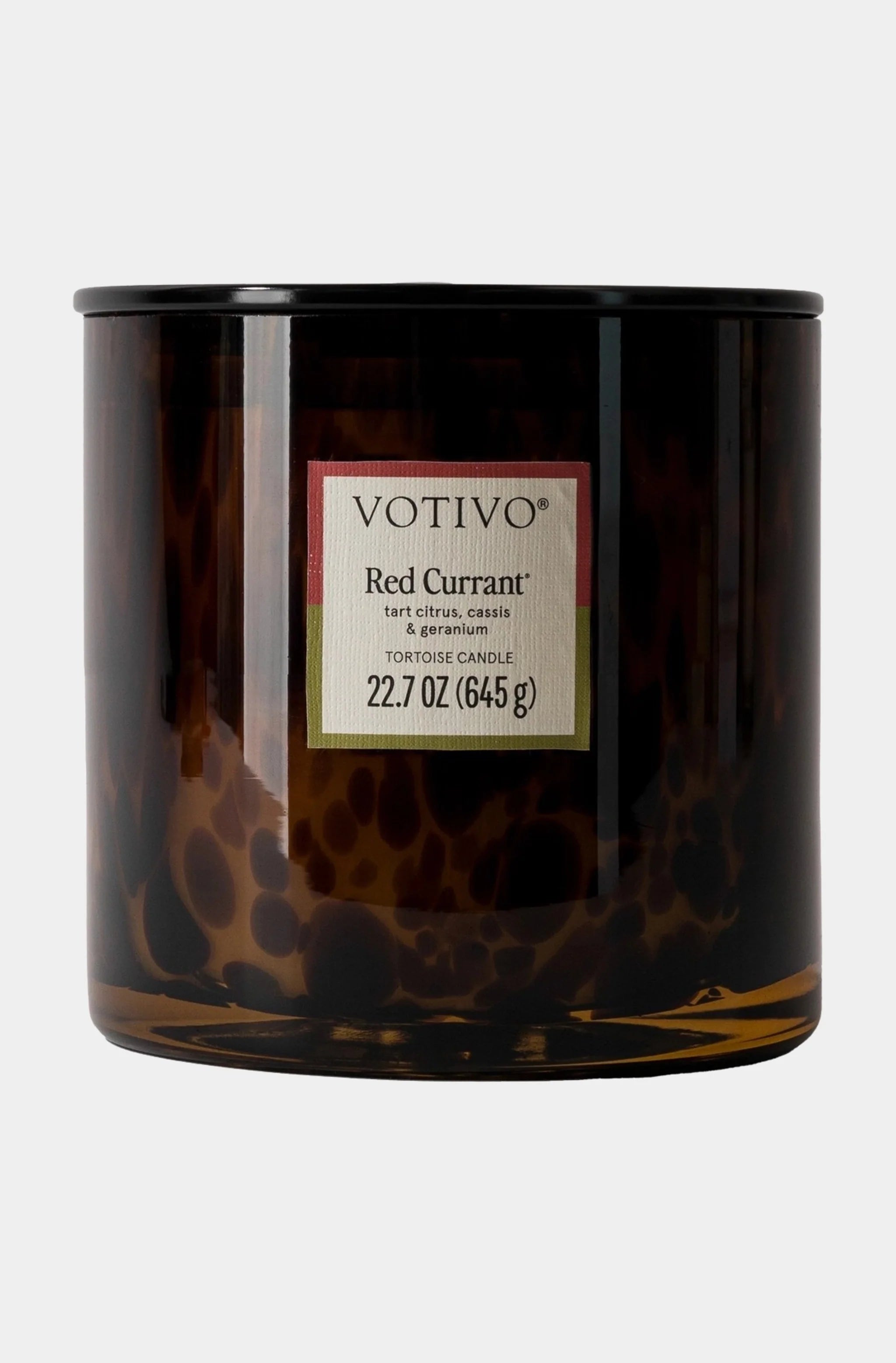 Tortoise Candle Red Currant