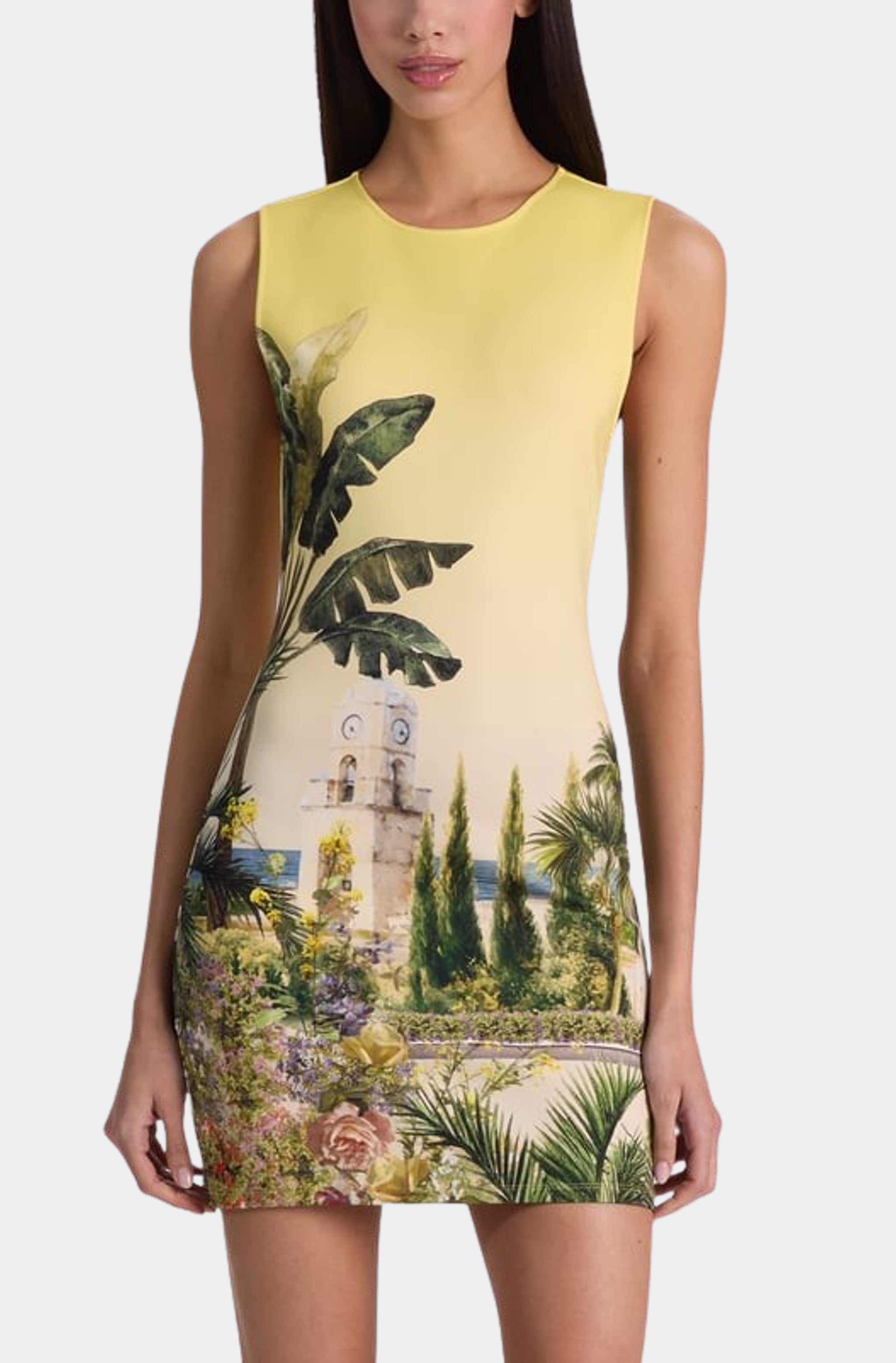 Wynell Fitted Mini Dress – HEMLINE French Quarter