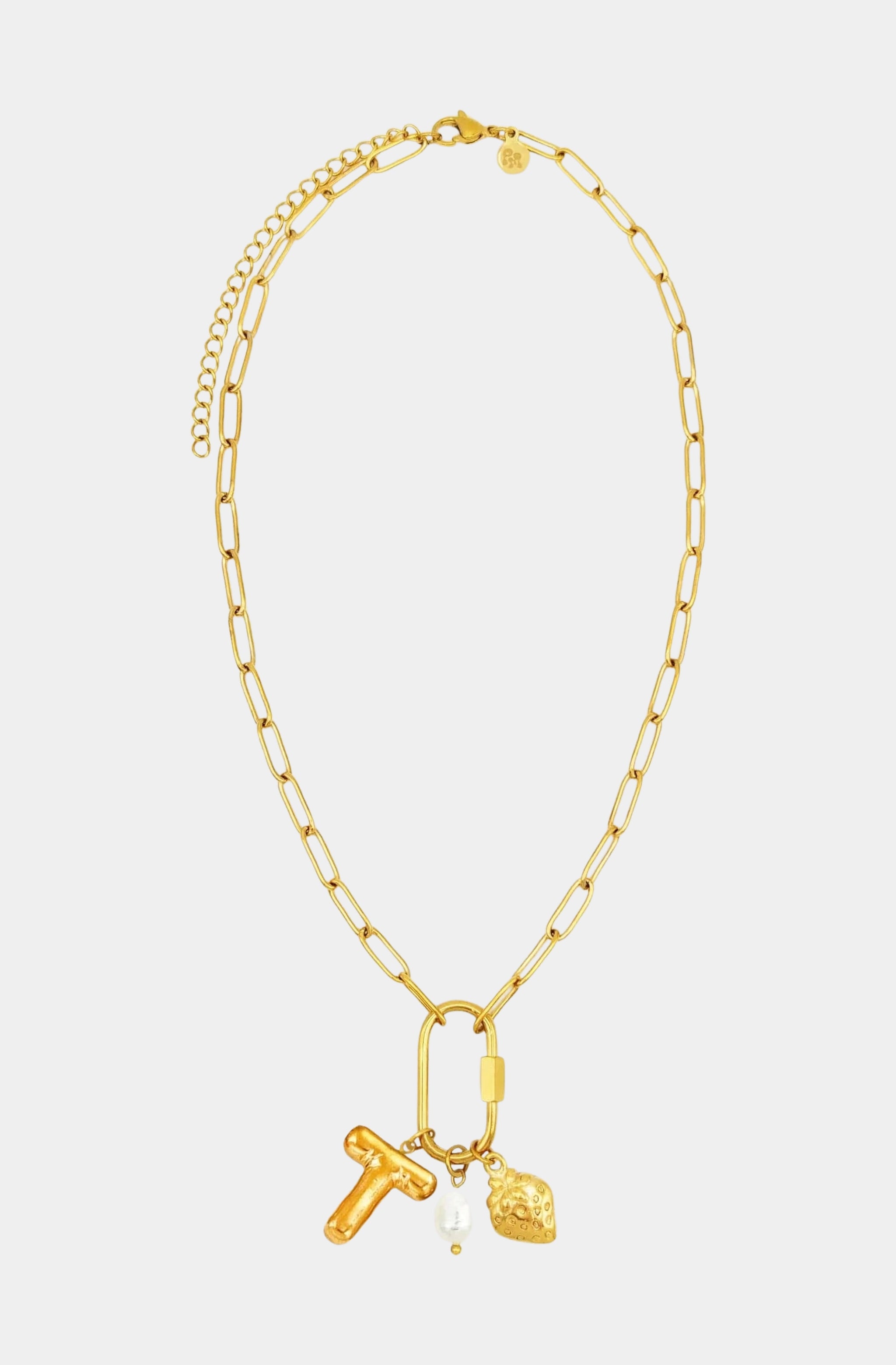 Carabiner Initial Charm Necklace